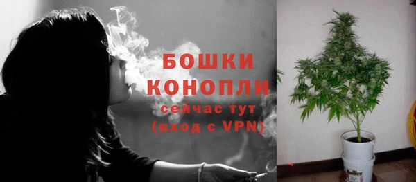 гашик Дмитров