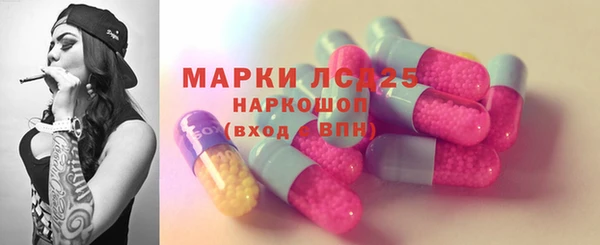 гашик Дмитров