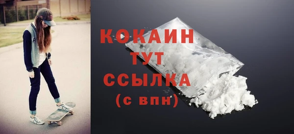 гашик Дмитров