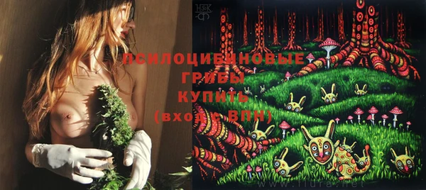 круглые Дмитровск