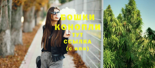 сатива Тавда