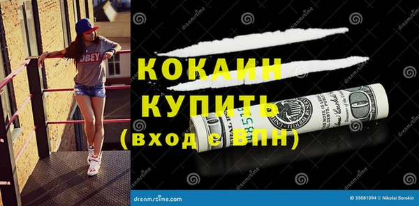 гашик Дмитров