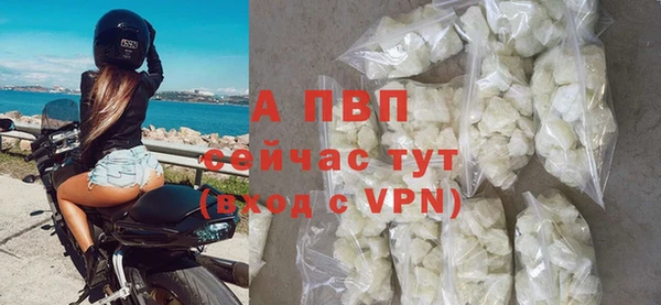 гашик Дмитров