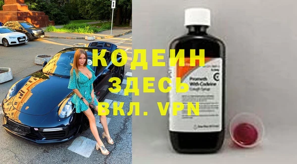 гашик Дмитров
