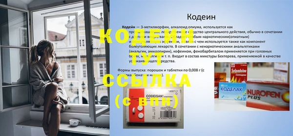 гашик Дмитров