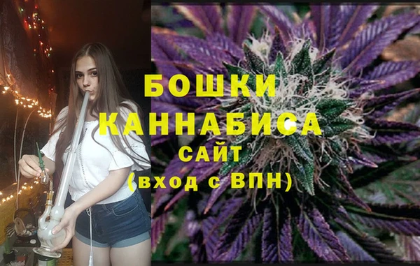амф Россошь