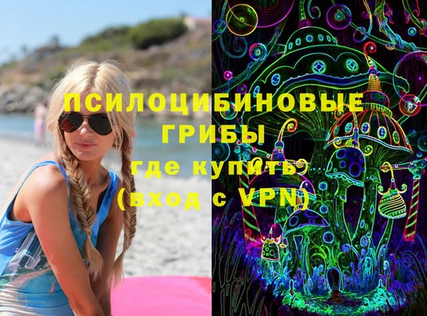 гашик Дмитров