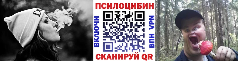 Галлюциногенные грибы мицелий  цены   МЕГА ТОР  Рошаль 